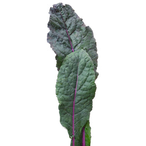 DAZZLING BLUE-KALE