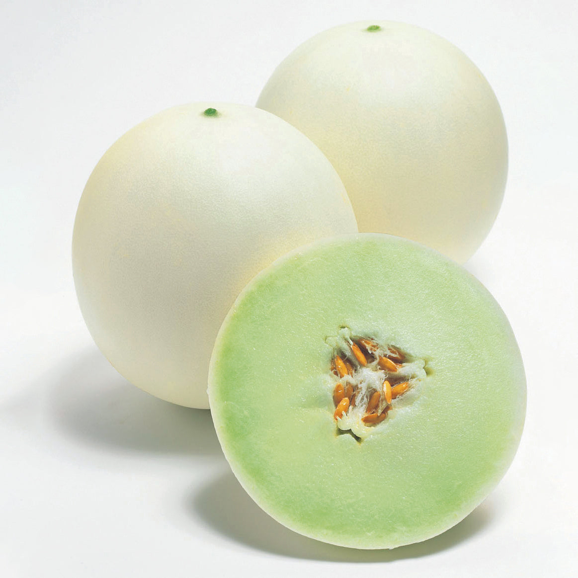 Honey Dew Melon - Bulk Seed