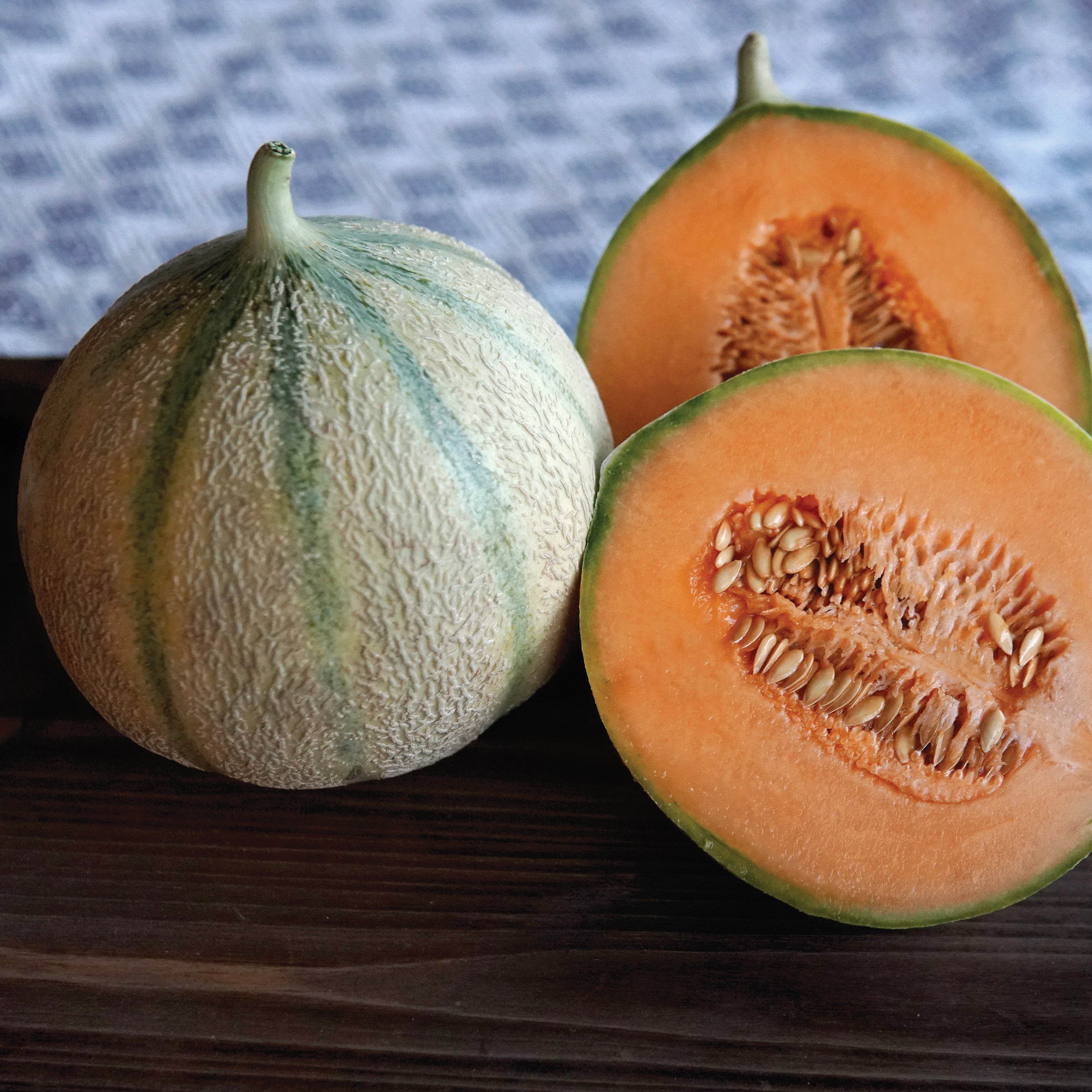Territorial Seed Company D'Artagnan Melon - Thumbnail 3