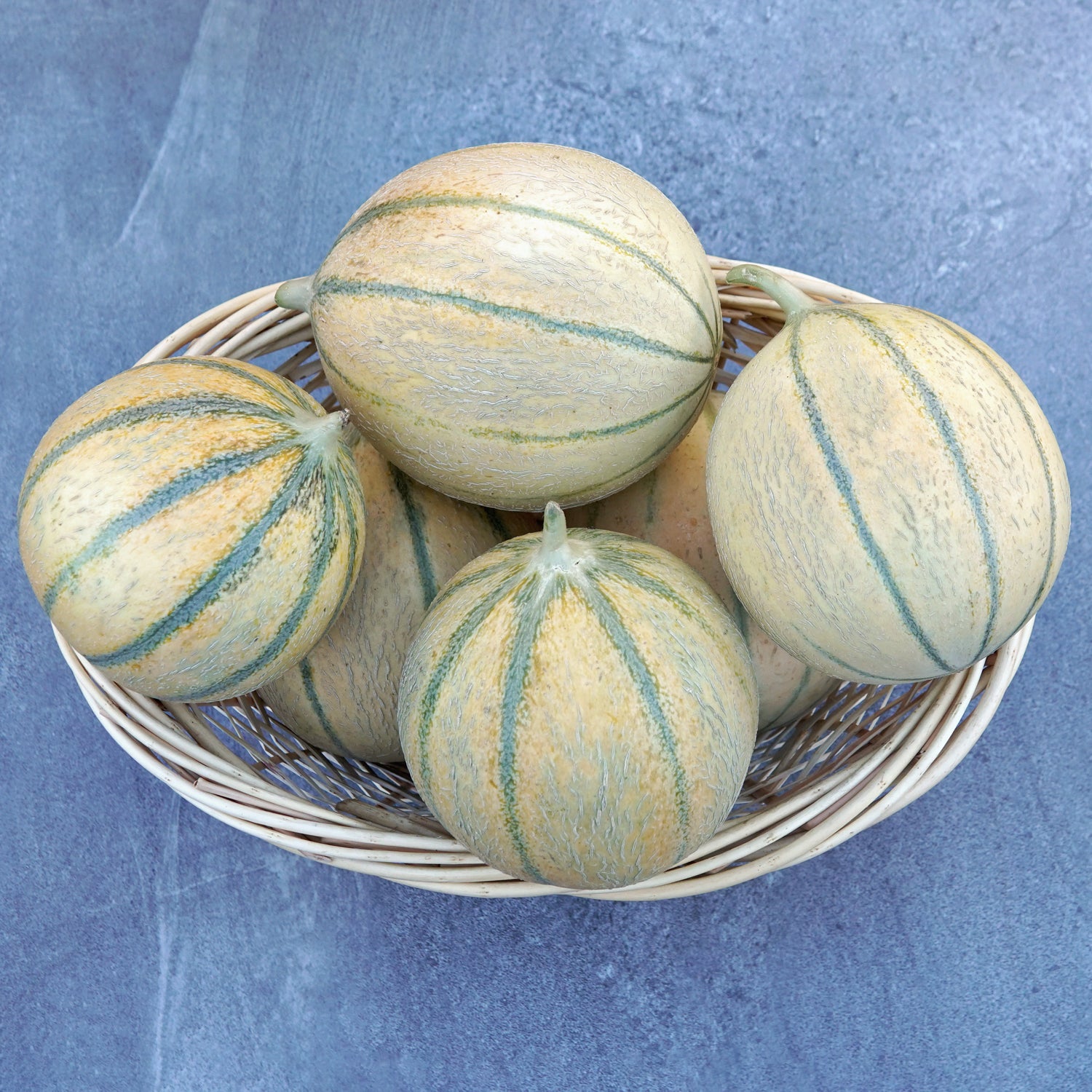 Territorial Seed Company D'Artagnan Melon