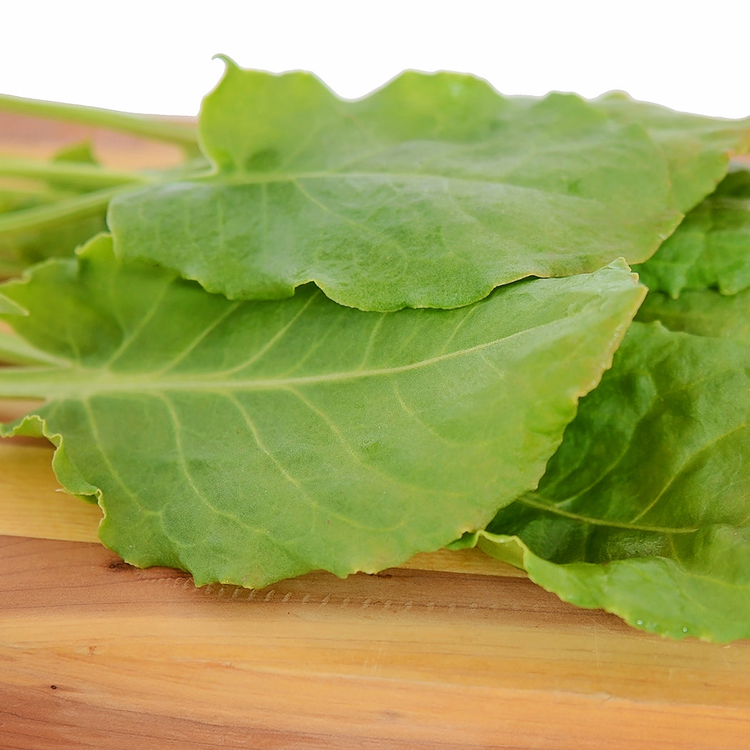 Territorial Seed Company French Sorrel