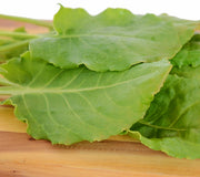 FRENCH SORREL-SORREL