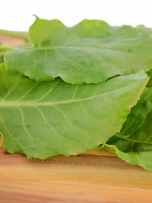 FRENCH SORREL-SORREL