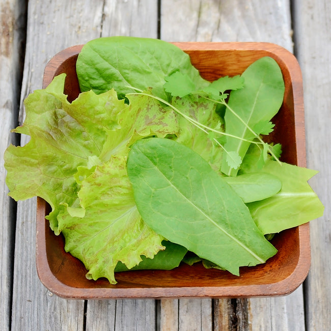 ITALIAN SALADINI BLEND-GOURMET MESCLUN SALAD BLENDS