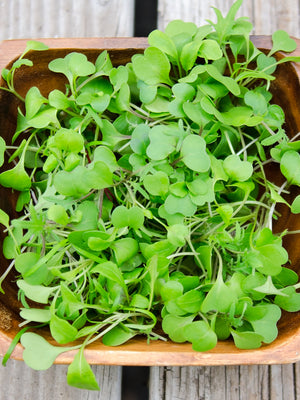 MICROGREENS BLEND-GOURMET MESCLUN SALAD BLENDS