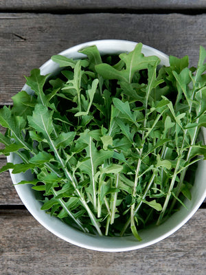 SPEEDY-ARUGULA