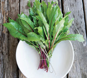 ITALIKO ROSSA-ITALIAN DANDELION