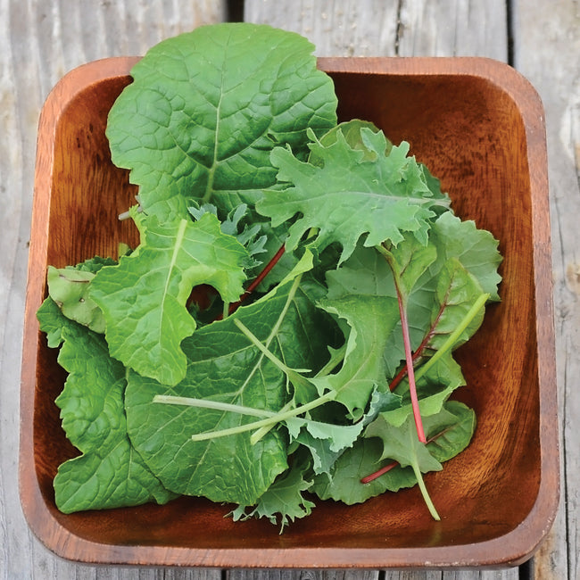 WINTER GREENS BLEND-GOURMET MESCLUN SALAD BLENDS