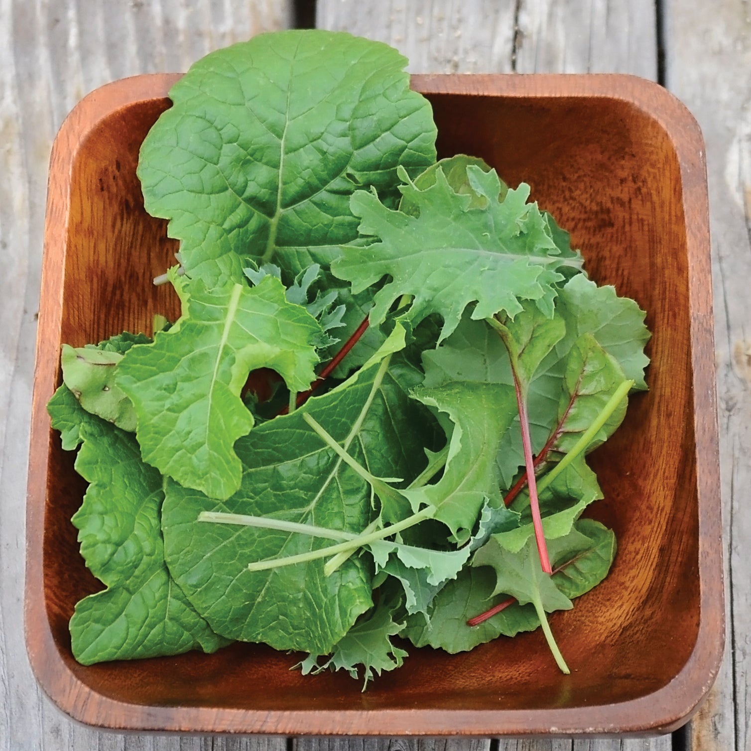 Winter Greens Blend Gourmet Seed Territorial Seed