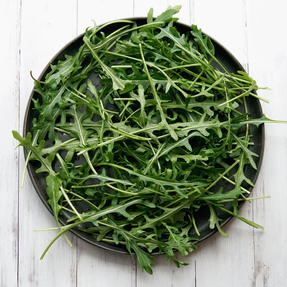 Territorial Seed Company Bellezia Arugula