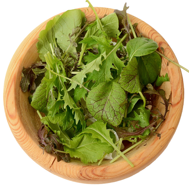 ORGANIC MUSTARD MIX-GOURMET MESCLUN SALAD BLENDS