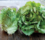 FENICE CASTELFRANCO-RADICCHIO