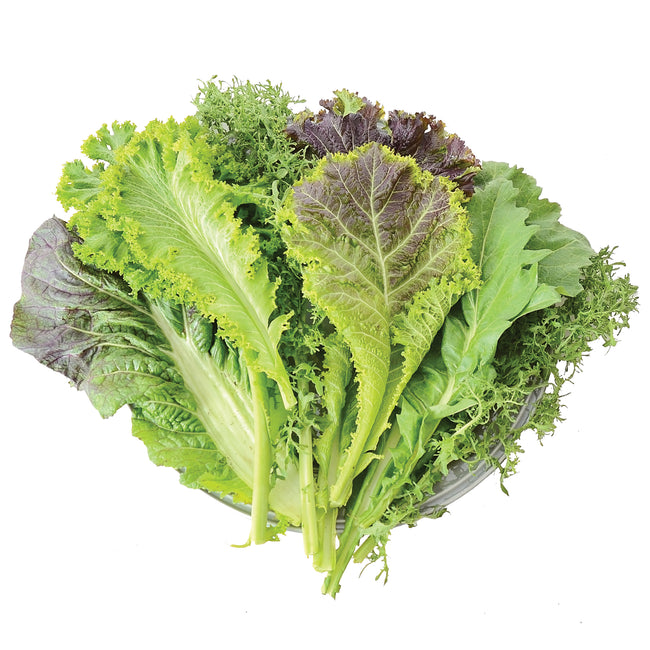 WILD GARDEN MUSTARDS-MUSTARD