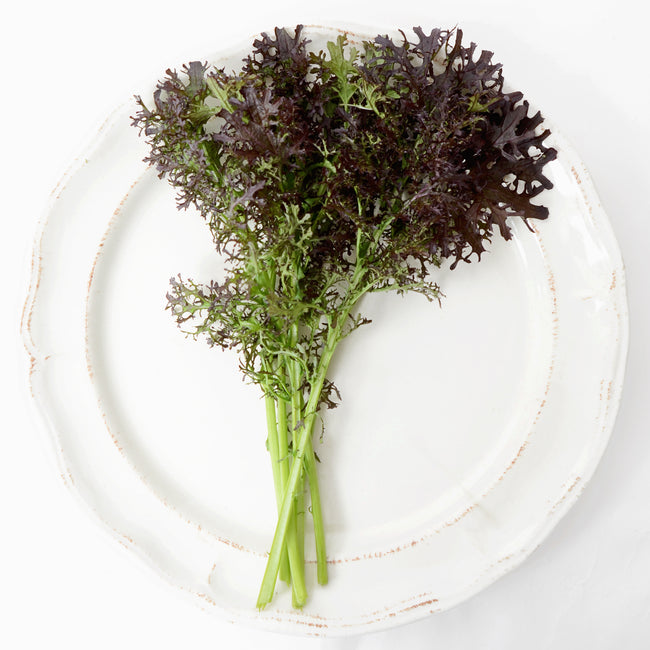 FRIZZY LIZZY-MUSTARD