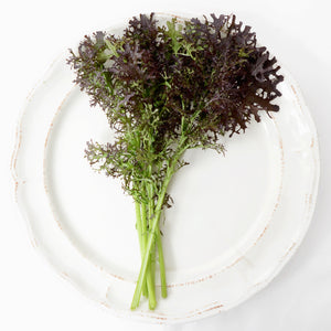 FRIZZY LIZZY-MUSTARD