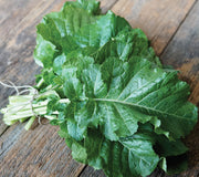 AMARA ETHIOPIAN KALE-MUSTARD