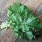 AMARA ETHIOPIAN KALE-MUSTARD