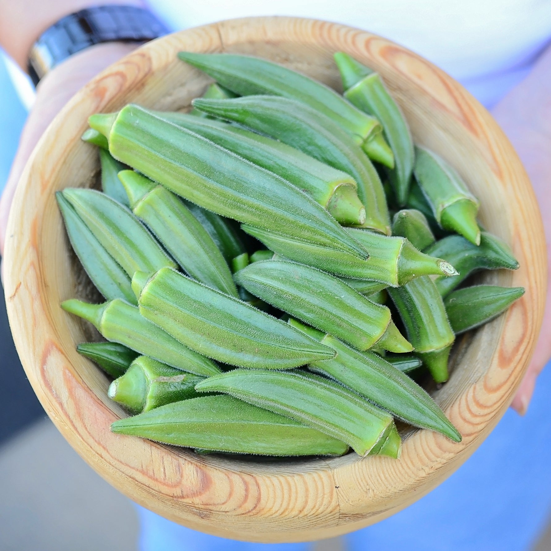 Jambalaya Okra Seed Territorial Seed