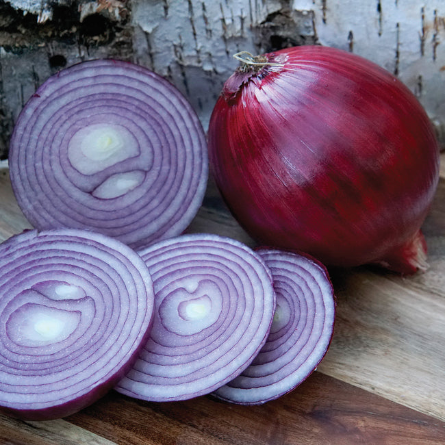 RED MOUNTAIN-ONION