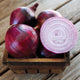 RED SPRING-ONION