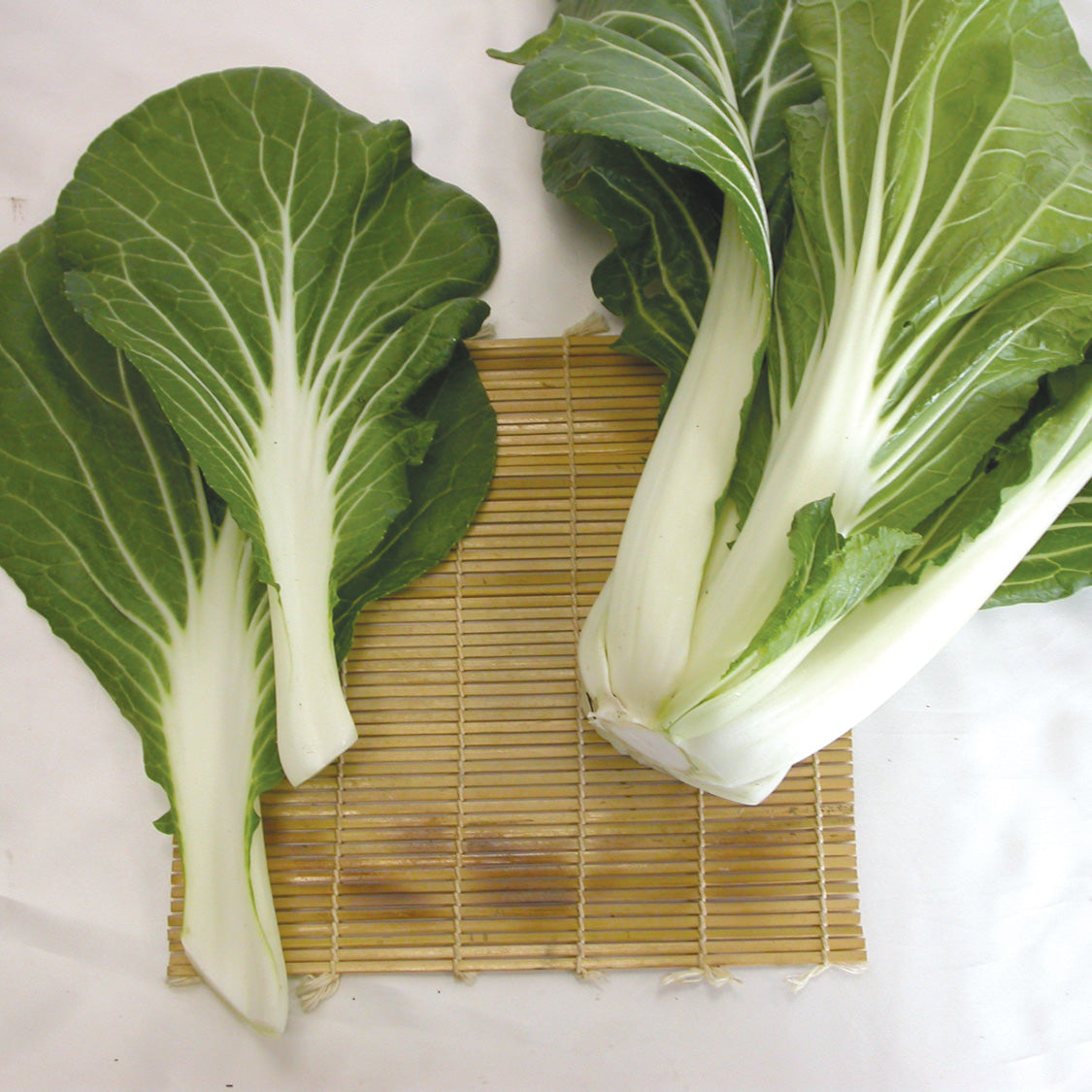 Territorial Seed Company Joi Choi Pak Choi