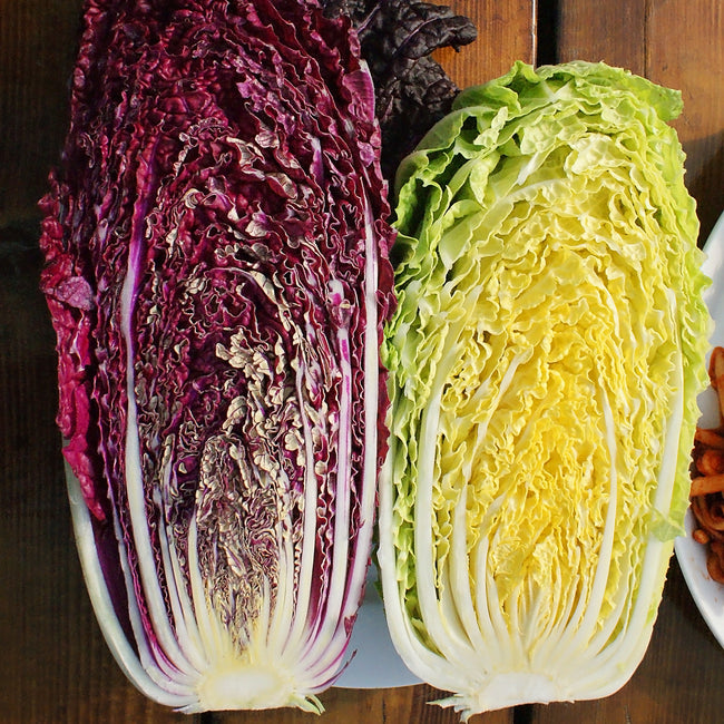 SCARLETTE-CHINESE CABBAGE