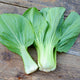 YUUSHOU-PAC CHOI
