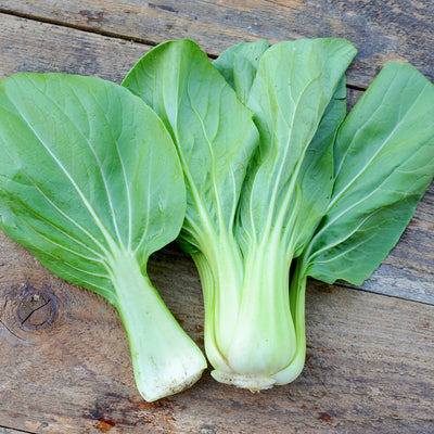 YUUSHOU-PAC CHOI