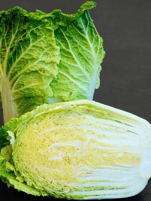 WA WA TSAI-CHINESE CABBAGE