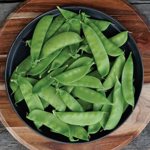 OREGON SUGAR POD II-PEA