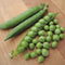 Close-up of Green Arrow pea pods and shelled peas showing plump peas and pods on white background
