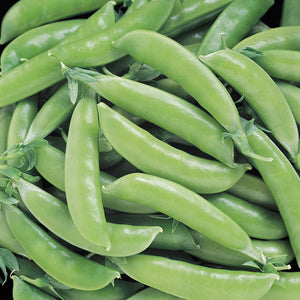 SUPER SUGAR SNAP-PEA