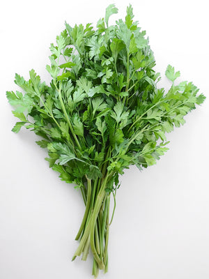 DARK GREEN ITALIAN PLAIN-PARSLEY