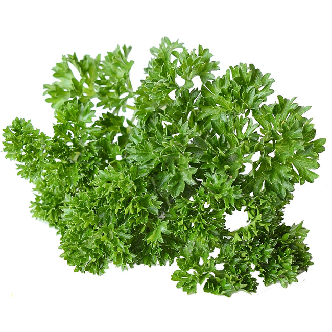 WEGA-PARSLEY