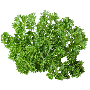 WEGA-PARSLEY