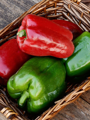 CALIFORNIA WONDER 300-PEPPER