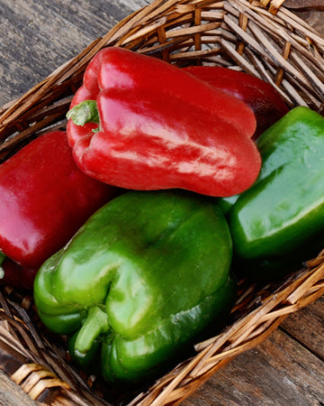 CALIFORNIA WONDER 300-PEPPER