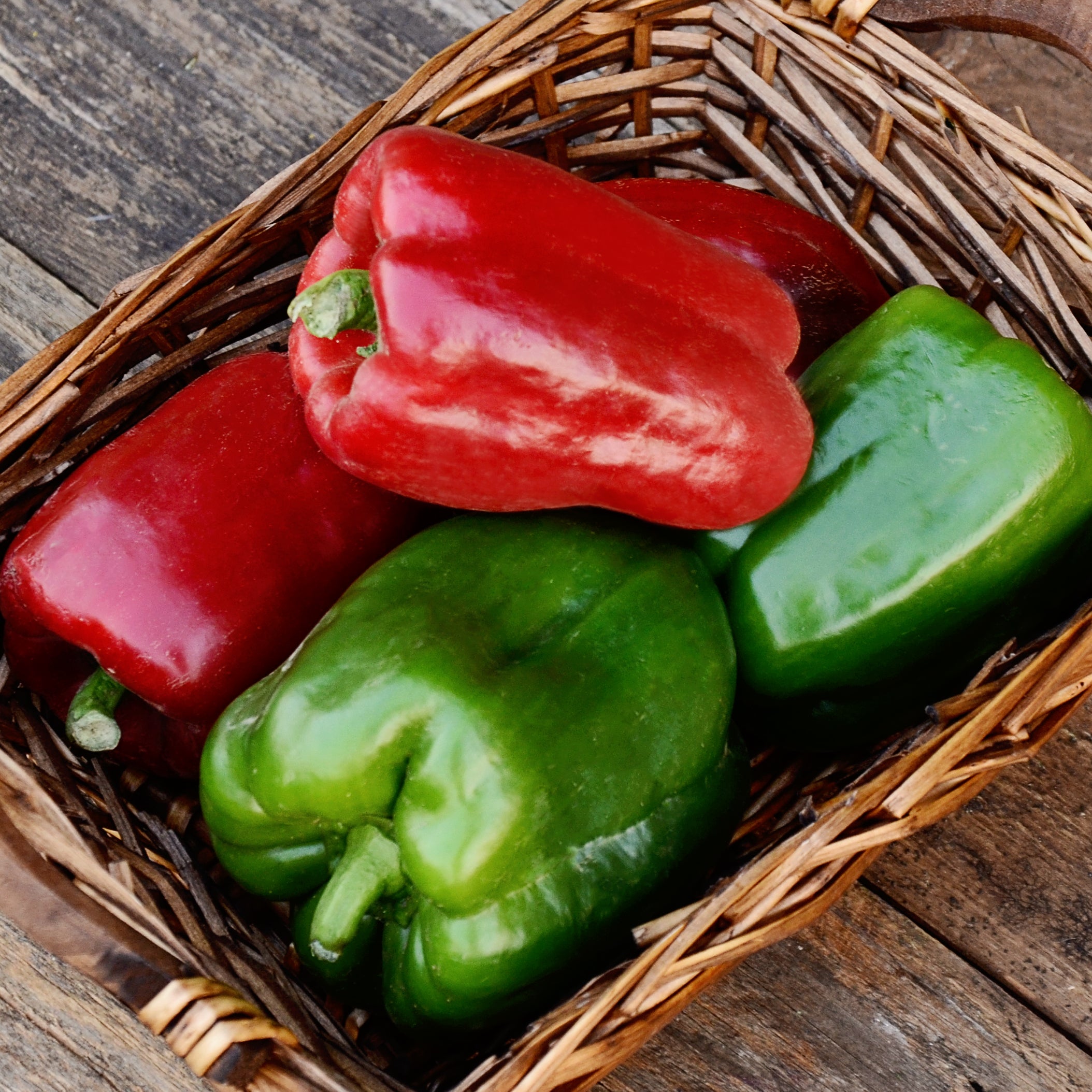 california wonder 300 tmr sweet pepper garden seeds California Wonder 300