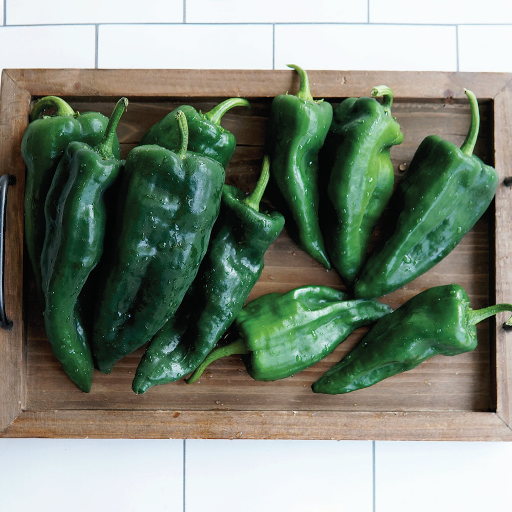 Triangle Pepper Trident Pepper | SEED / 25 seeds | Territorial Seed