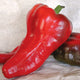 ITALIAN SWEET-PEPPER