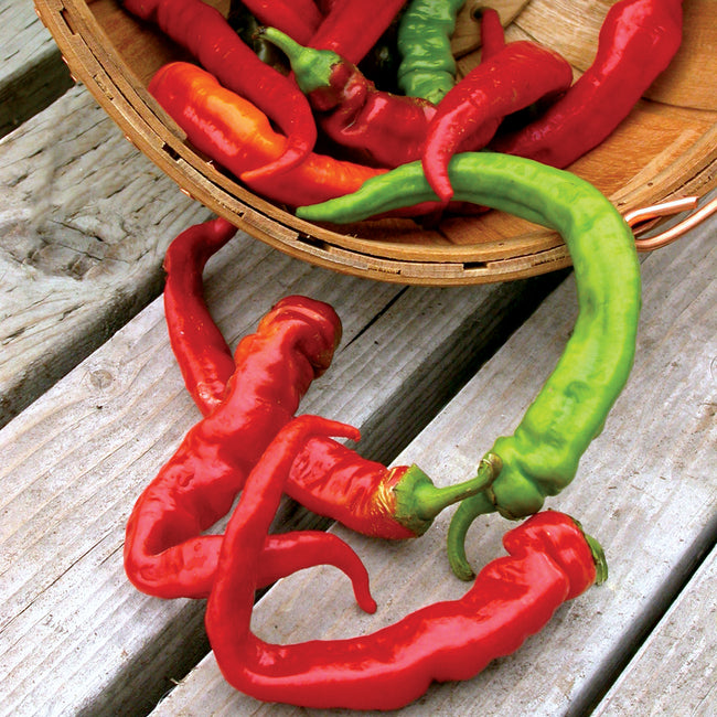 JIMMY NARDELLO'S-PEPPER