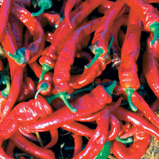 JIMMY NARDELLO'S-PEPPER