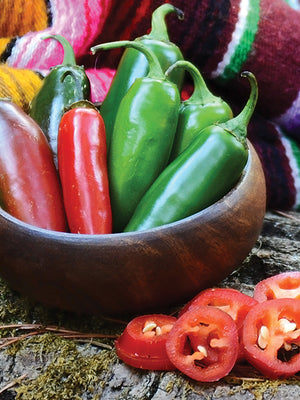 EARLY JALAPEÑO-PEPPER