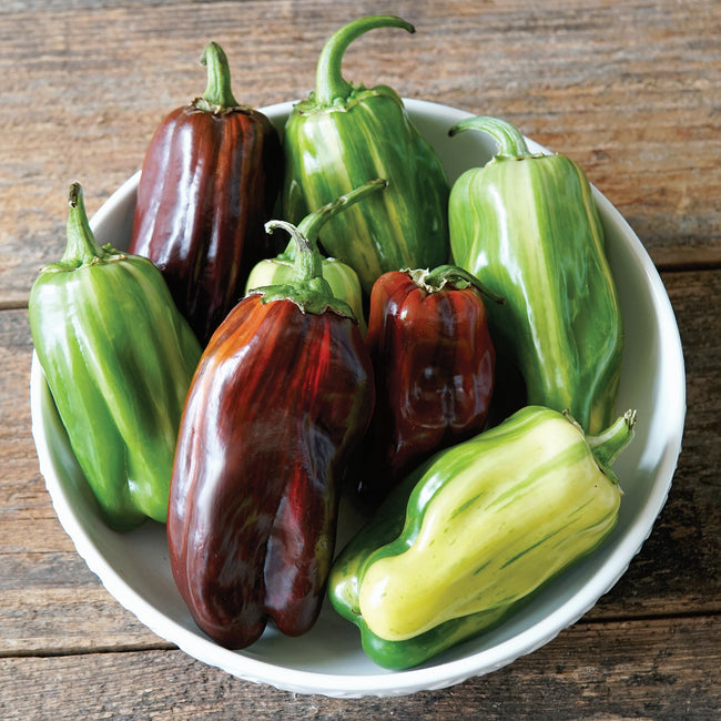 CANDY CANE CHOCOLATE CHERRY-PEPPER