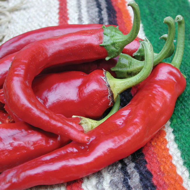 ANAHEIM COLLEGE 64-PEPPER