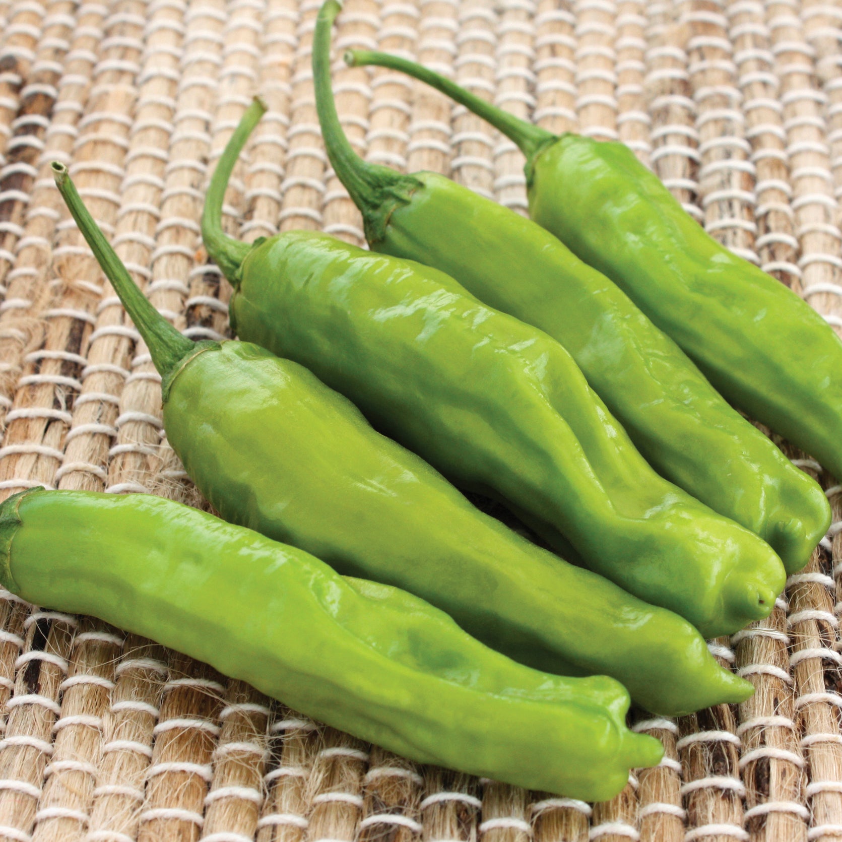 Takara Shishito Pepper - Thumbnail 3