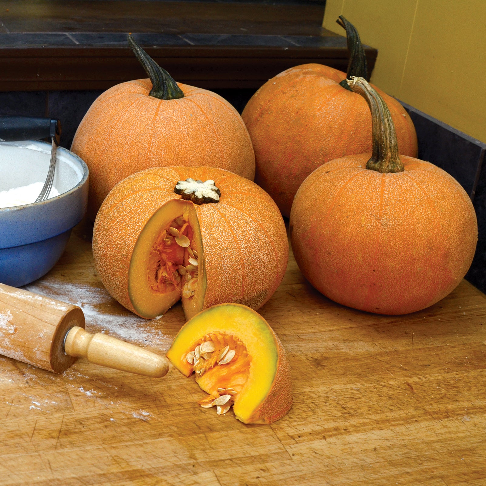 Winter Luxury Pumpkin - Thumbnail 2