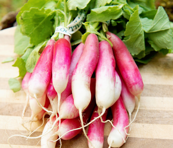 FRENCH BREAKFAST-RADISH