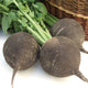 RUNDER SCHWARZER WINTER-RADISH