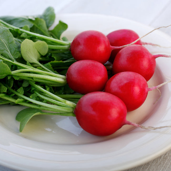 CRUNCHY CRIMSON-RADISH